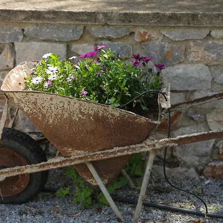 乡村民宿 Picturesque