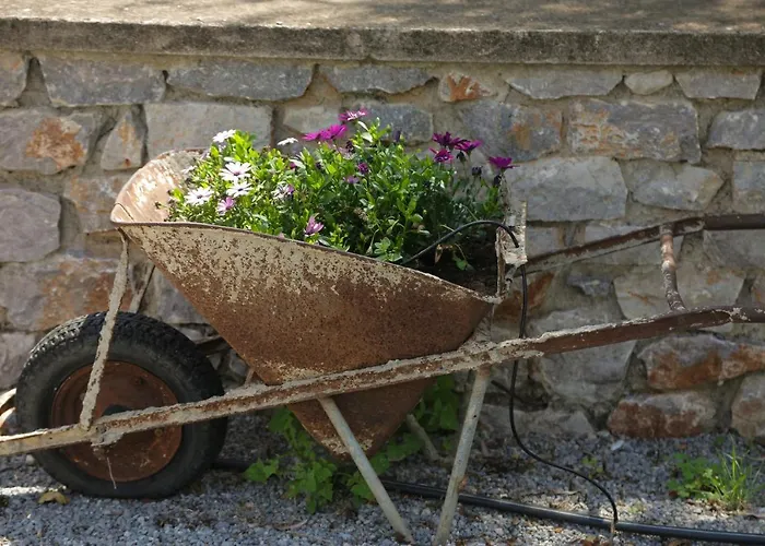 Gospodarstwo wiejskie Picturesque